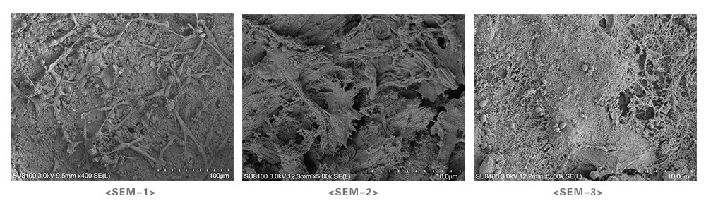 1652937455196408.jpg 1-210FQ55214461_副本.jpg